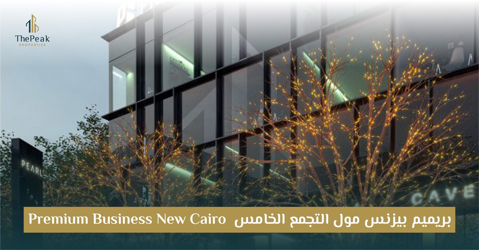 مول بريميم بيزنس التجمع الخامس Premium Business New Cairo: