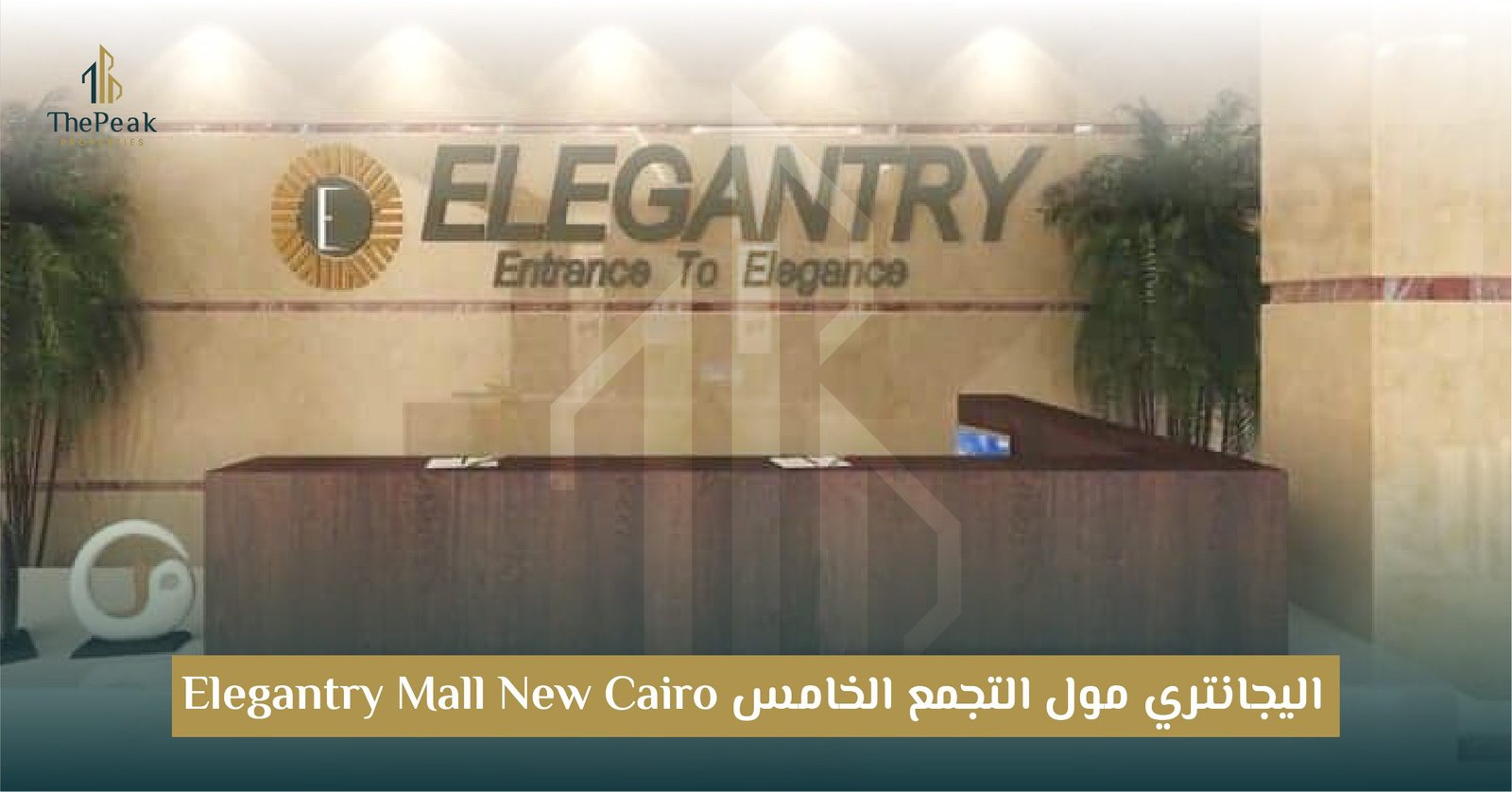 مول إلجانتري بالتجمع الخامس ElEGantry New Cairo