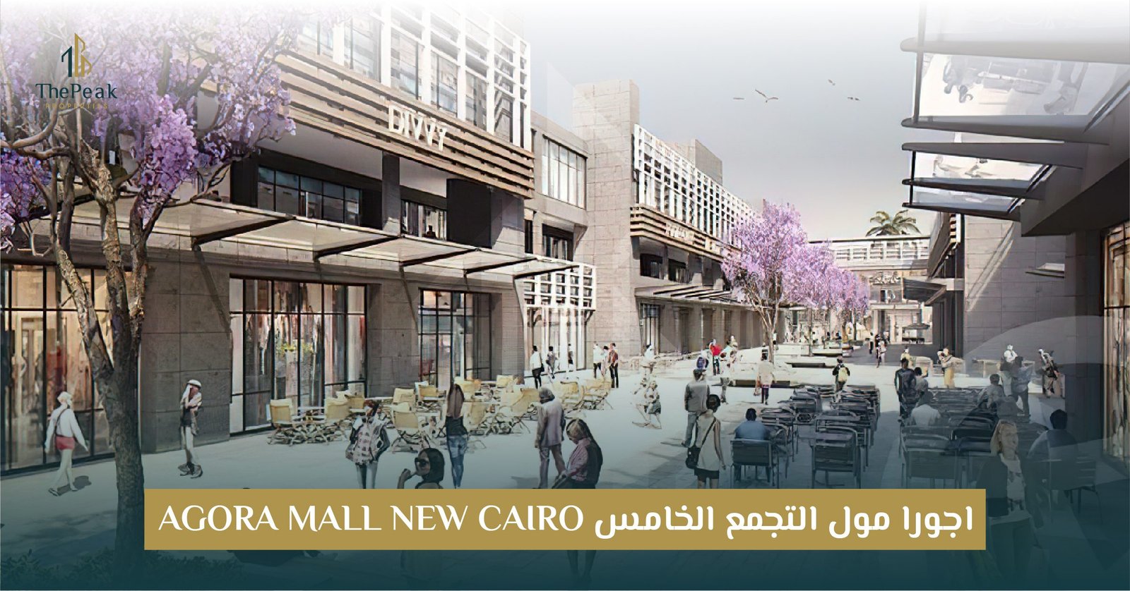 مول اجورا التجمع الخامس Agora Mall New Cairo