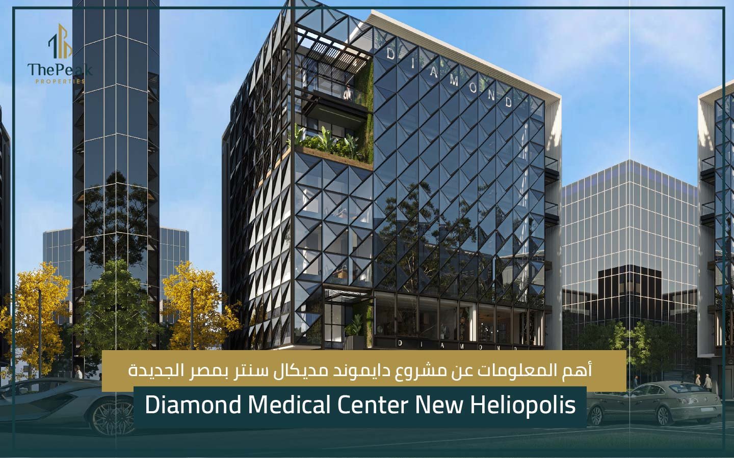 مشروع دايموند مديكال بمصر الجديدة Diamond Medical New Heliopolis